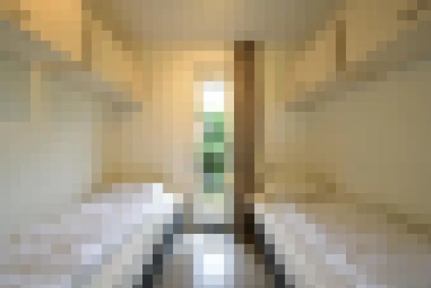 De Lithse Ham 3 K 136 Lith thumbnail 12