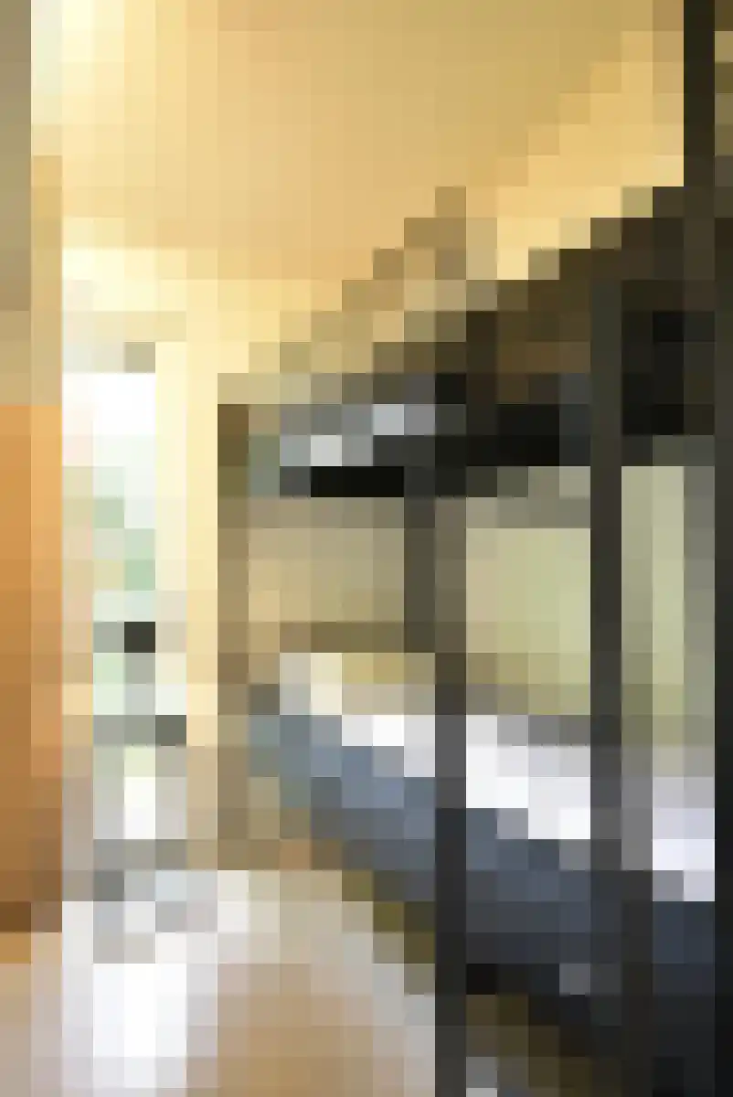 De Lithse Ham 3 K 136 Lith thumbnail 13