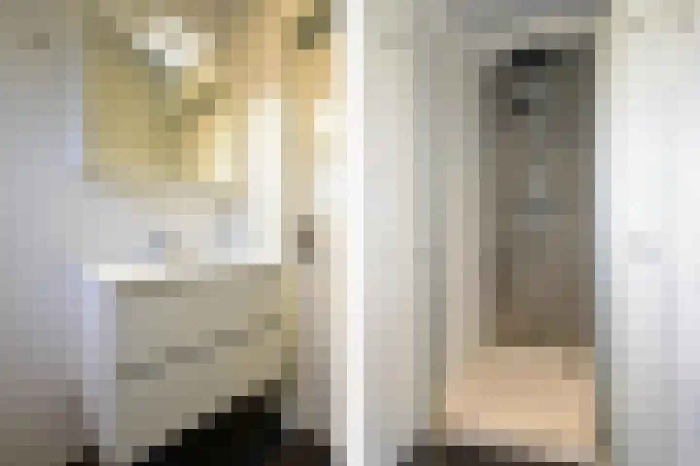 De Lithse Ham 3 K 136 Lith thumbnail 14
