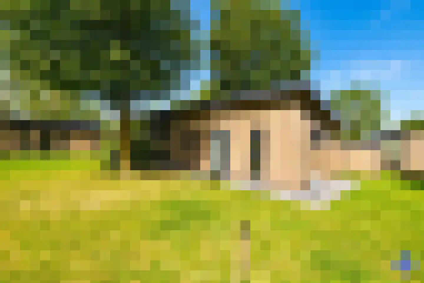 De Lithse Ham 3 K 136 Lith thumbnail 16