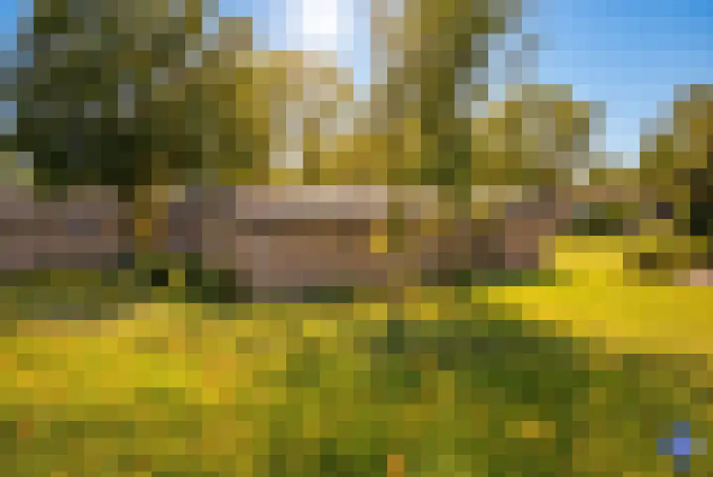 De Lithse Ham 3 K 136 Lith thumbnail 19
