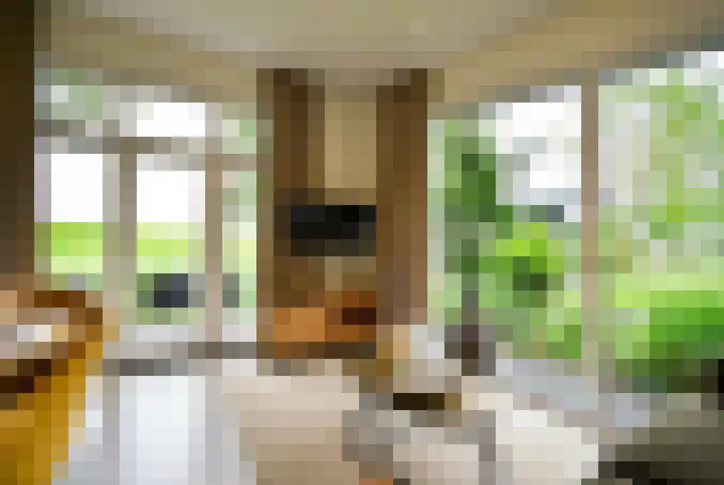 De Lithse Ham 3 K 136 Lith thumbnail 4
