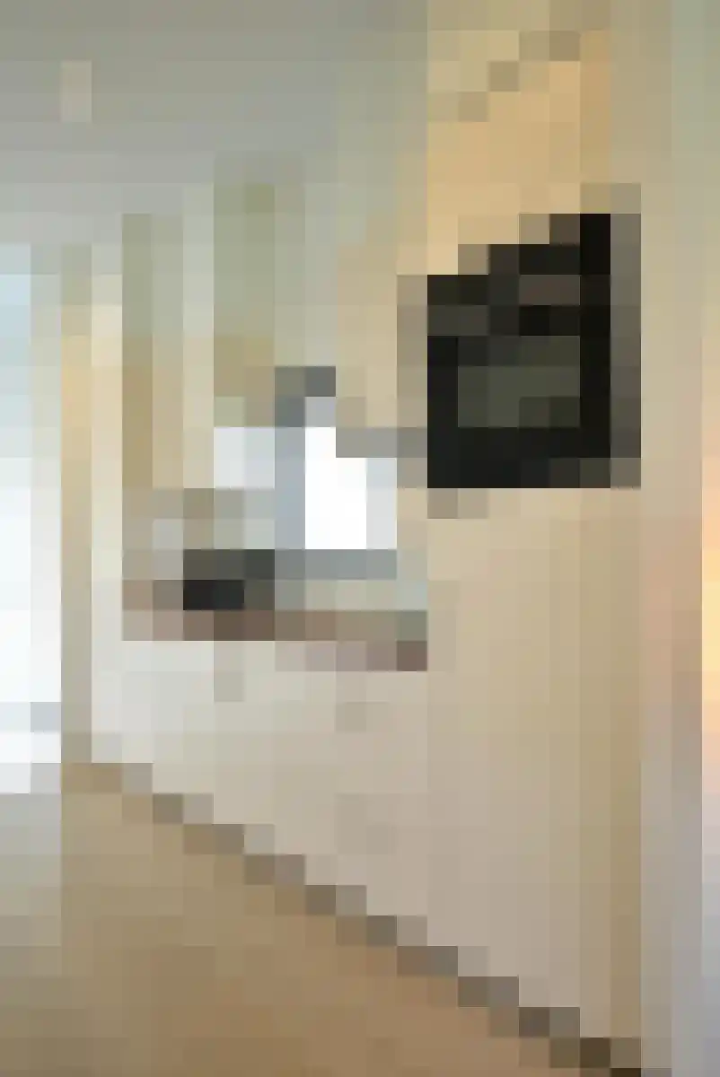 De Lithse Ham 3 K 136 Lith thumbnail 7
