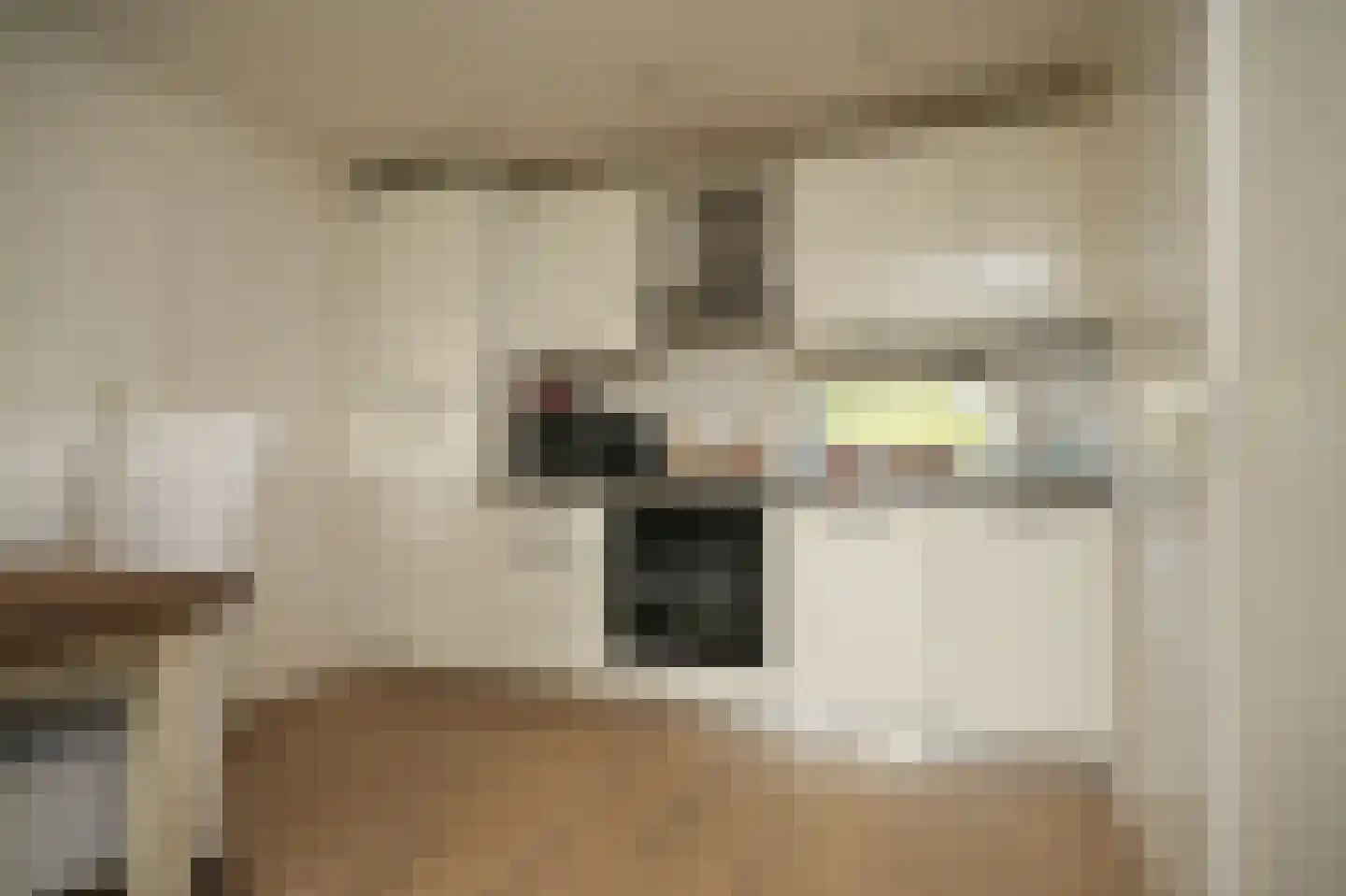 De Lithse Ham 3 K 76 Lith thumbnail 10