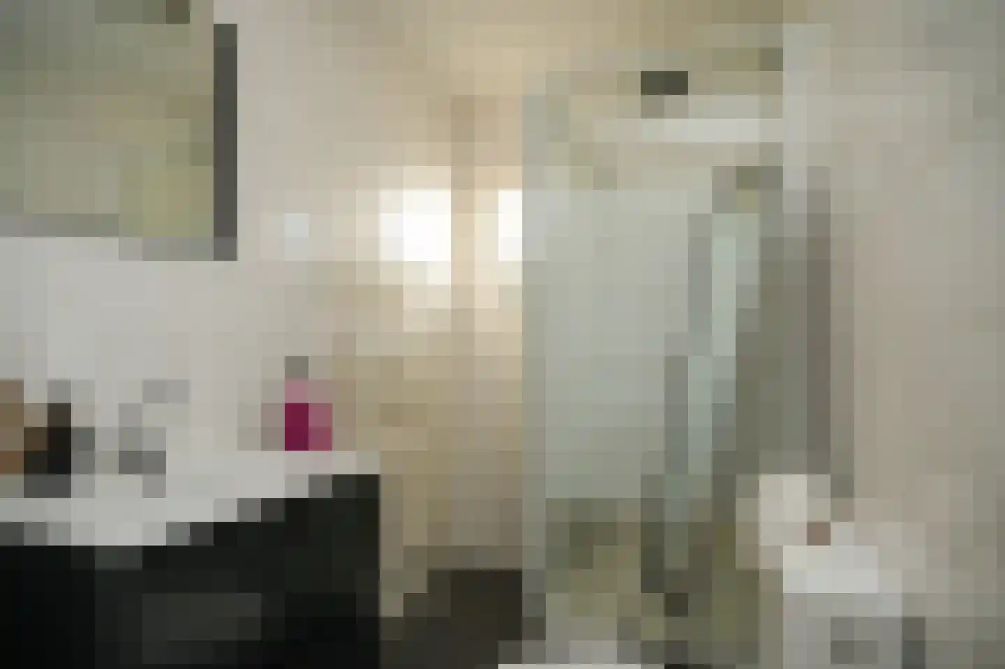 De Lithse Ham 3 K 76 Lith thumbnail 14