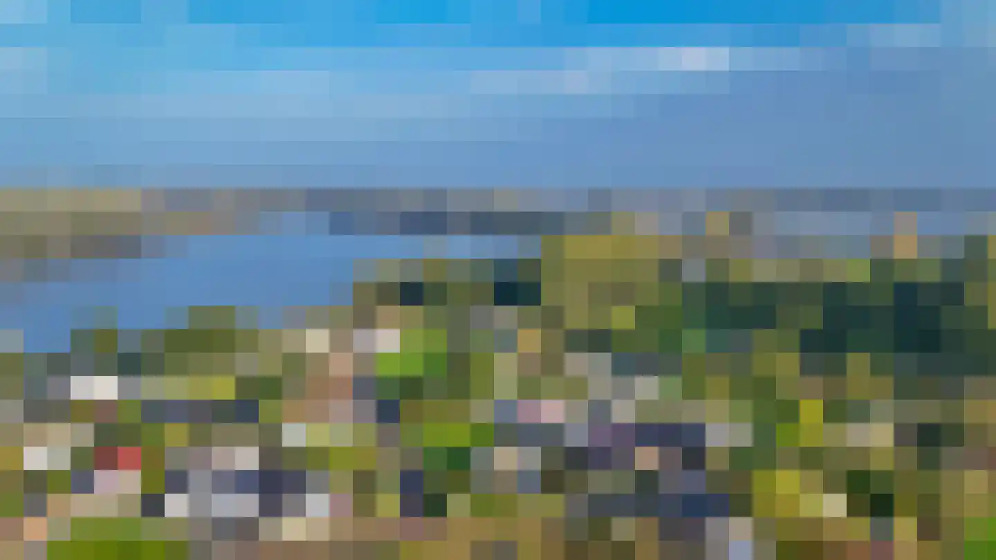 De Lithse Ham 3 K 76 Lith thumbnail 24