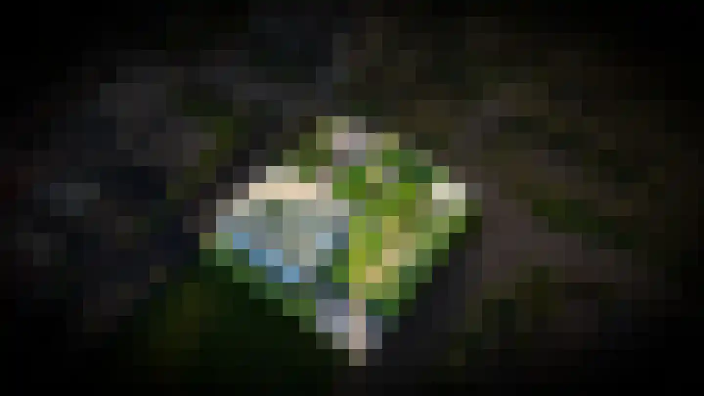 De Lithse Ham 3 K 76 Lith thumbnail 25