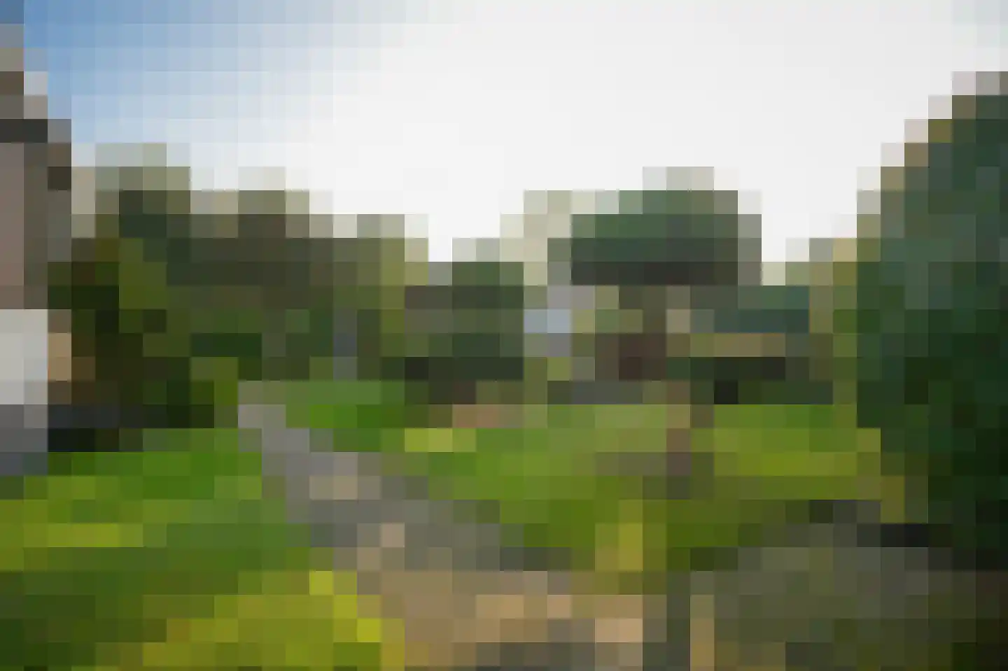 De Lithse Ham 3 K 76 Lith thumbnail 4