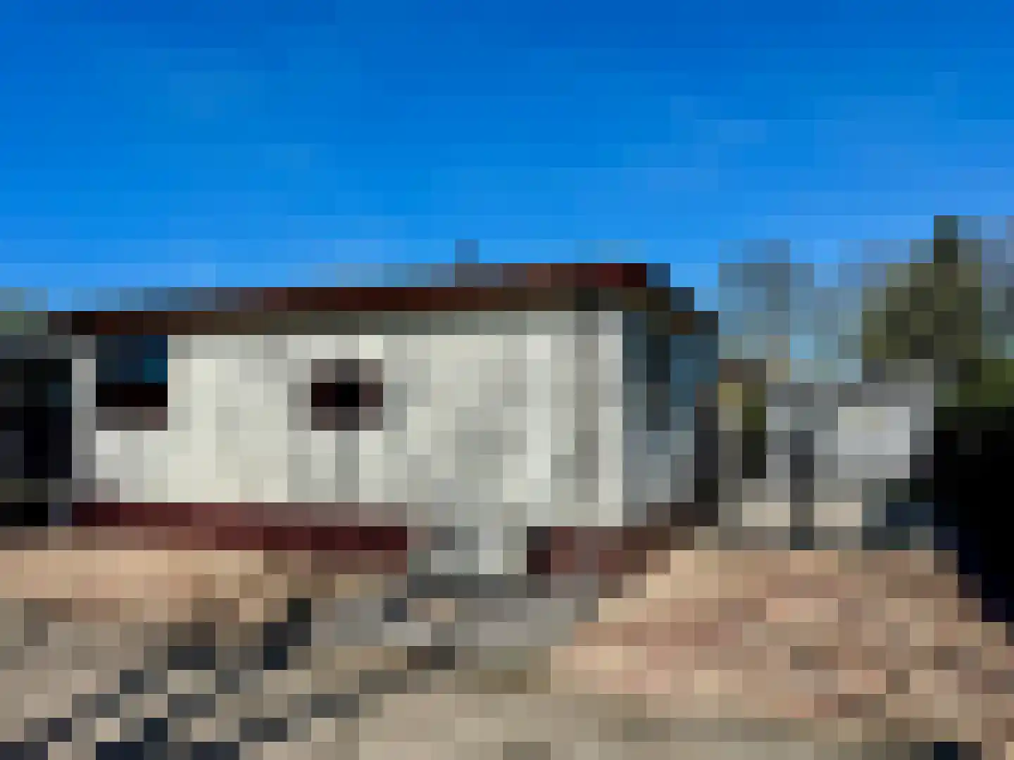 De Lithse Ham 3 K 96 in Lith