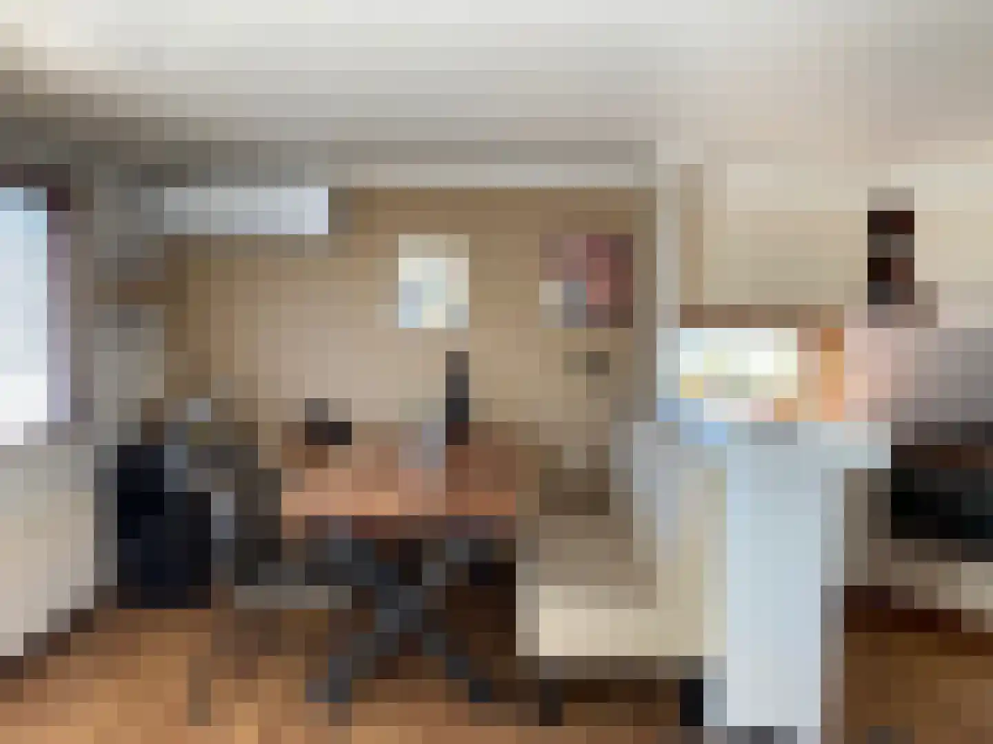 De Lithse Ham 3 K 96 Lith thumbnail 13