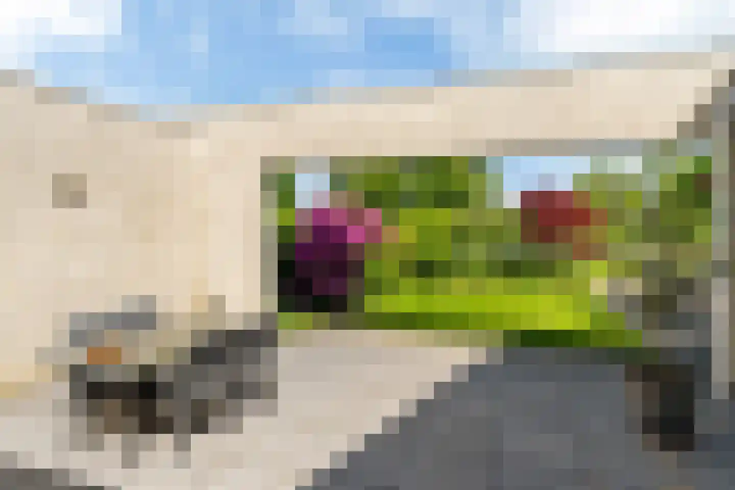 De Lits 15 Leeuwarden thumbnail 17