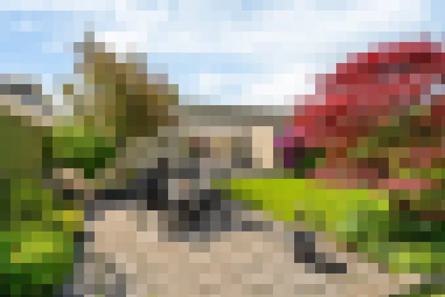 De Lits 15 Leeuwarden thumbnail 21