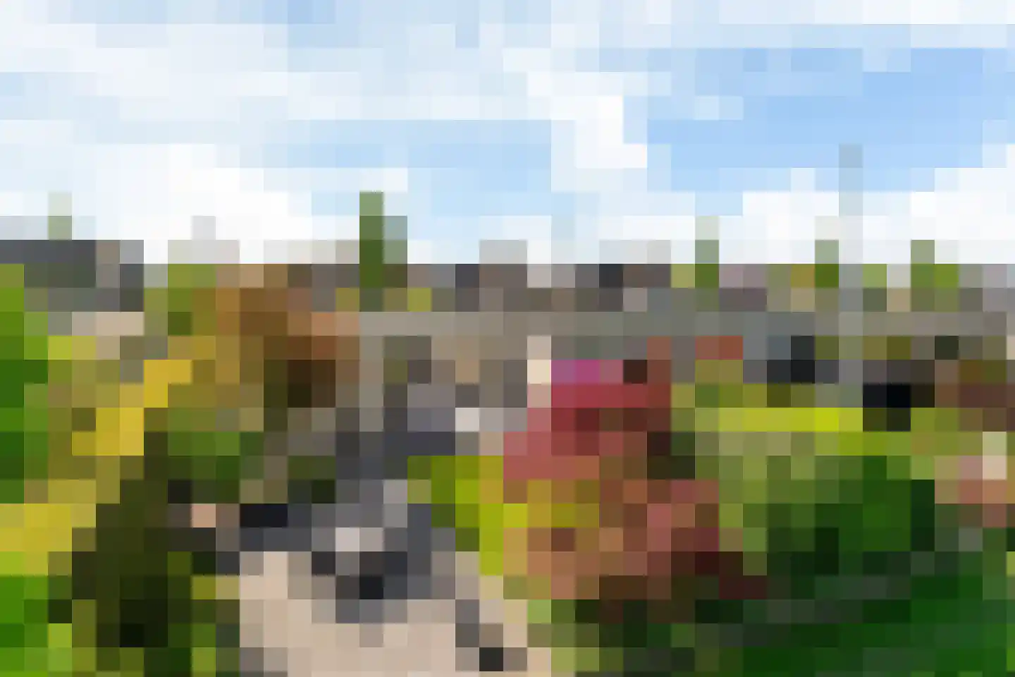 De Lits 15 Leeuwarden thumbnail 22