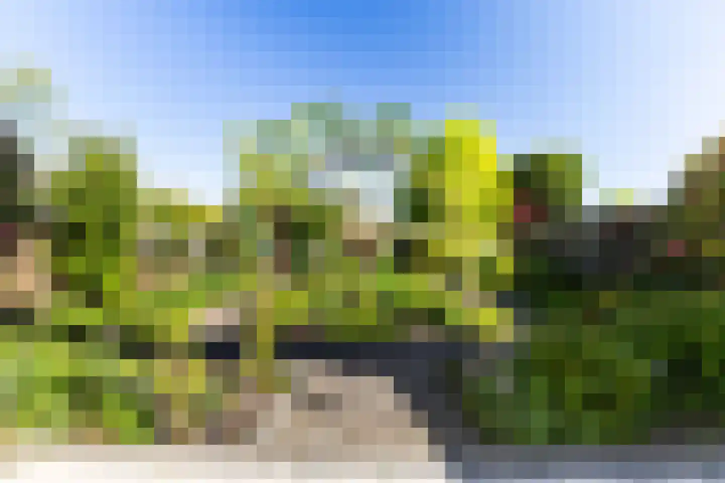 De Lits 29 Leeuwarden thumbnail 25