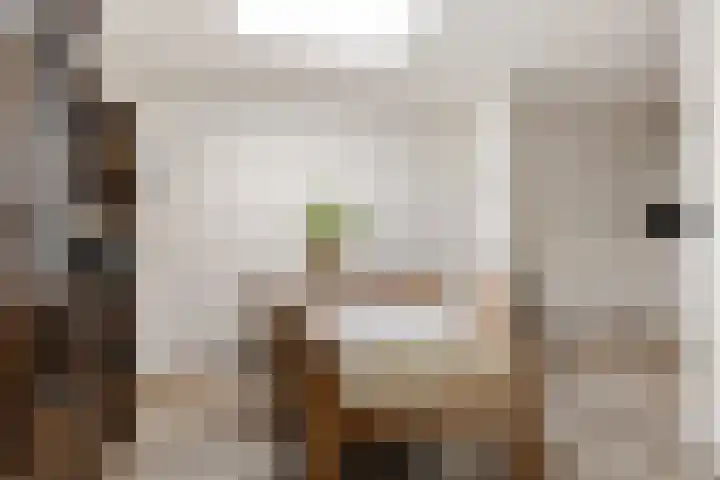 De Lits 3 Leeuwarden thumbnail 18
