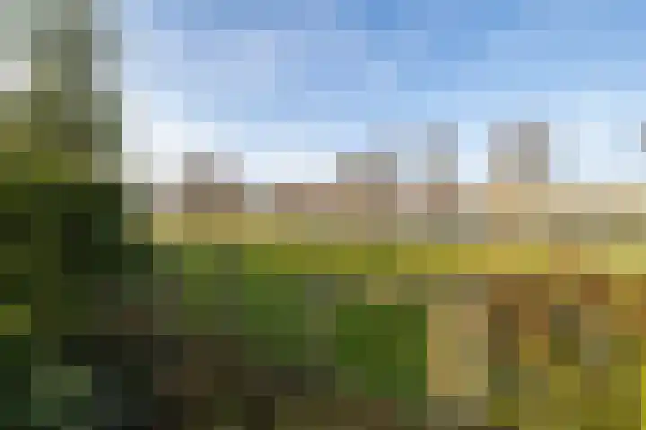 De Lits 3 Leeuwarden thumbnail 4