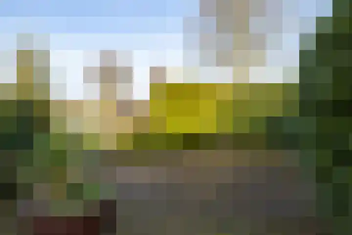 De Lits 3 Leeuwarden thumbnail 41