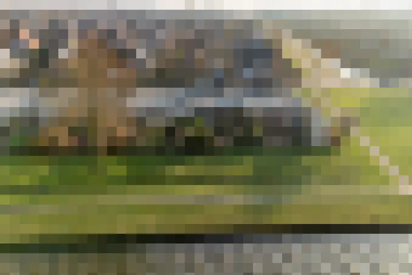 De Lits 3 Leeuwarden thumbnail 50