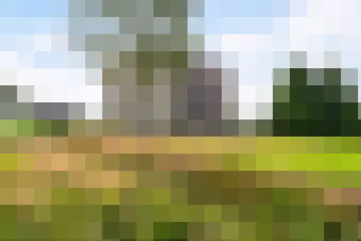 De Lits 65 Leeuwarden thumbnail 6