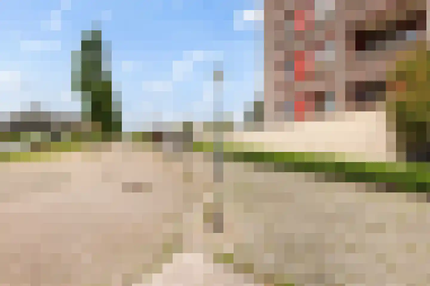 De Lits 67 Leeuwarden thumbnail 35