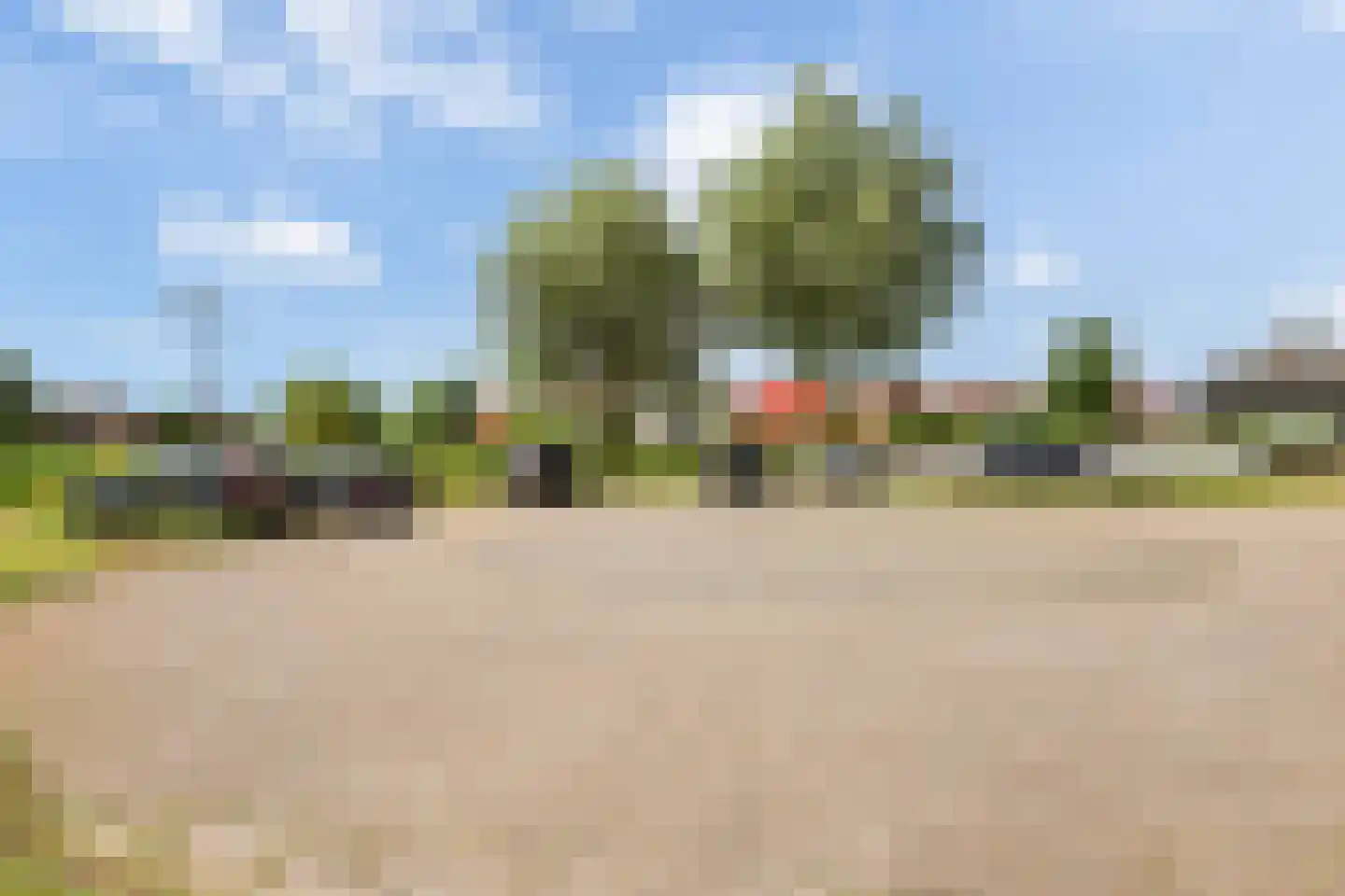 De Lits 67 Leeuwarden thumbnail 36