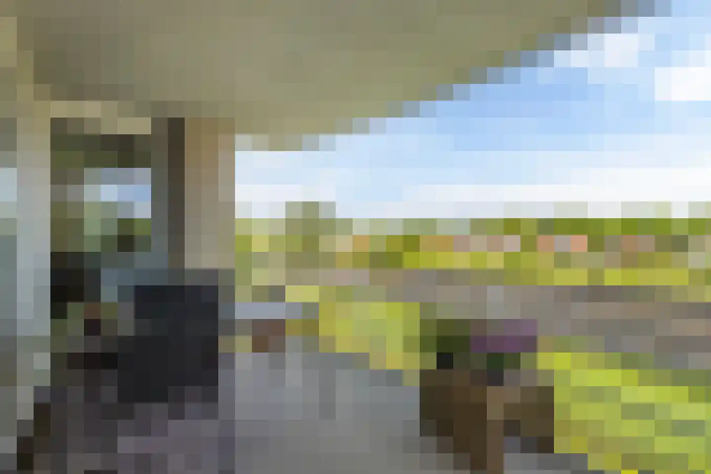 De Lits 67 Leeuwarden thumbnail 6
