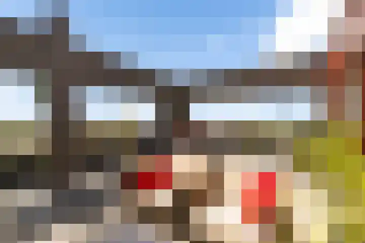 De Lits 77 Leeuwarden thumbnail 10