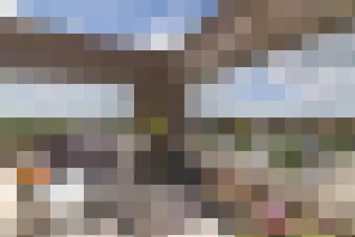 De Lits 77 Leeuwarden thumbnail 11