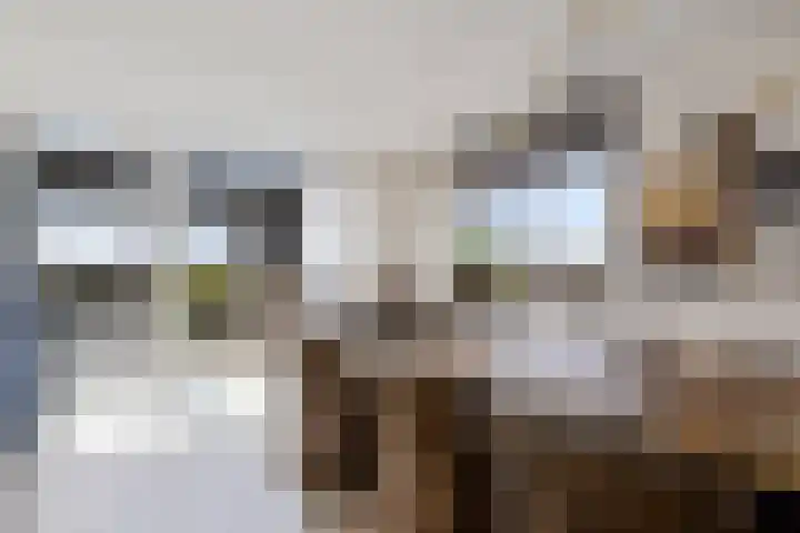 De Lits 77 Leeuwarden thumbnail 14