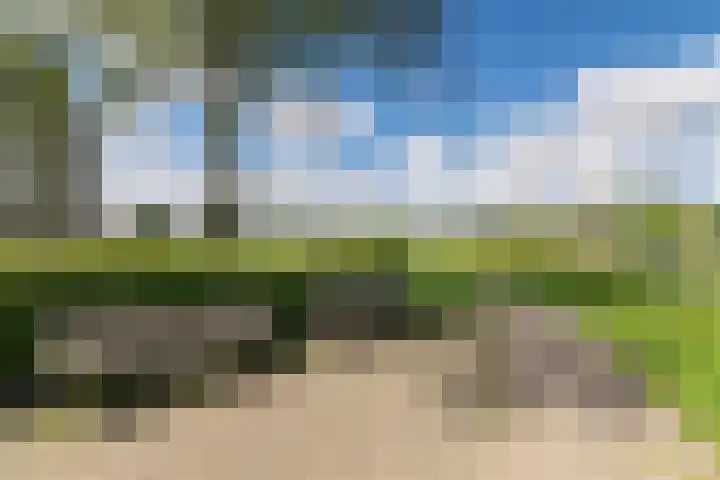 De Lits 77 Leeuwarden thumbnail 43