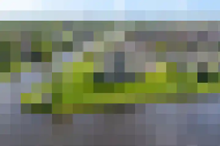 De Lits 77 Leeuwarden thumbnail 49