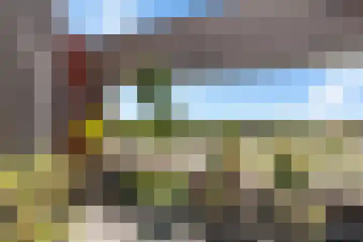 De Lits 77 Leeuwarden thumbnail 8