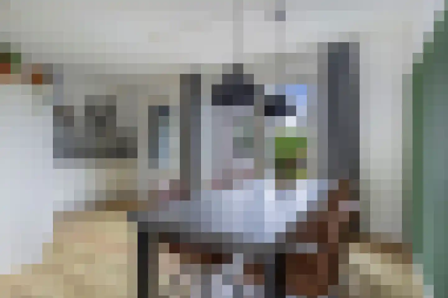 De Lits 9 Drachten thumbnail 20