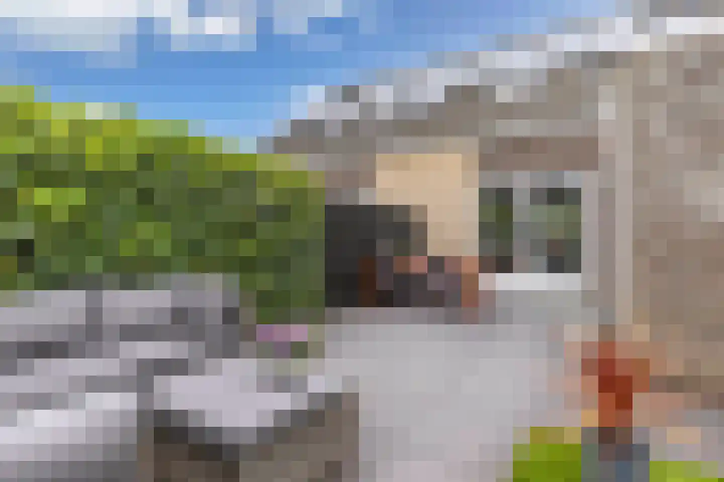 De Lits 9 Drachten thumbnail 40