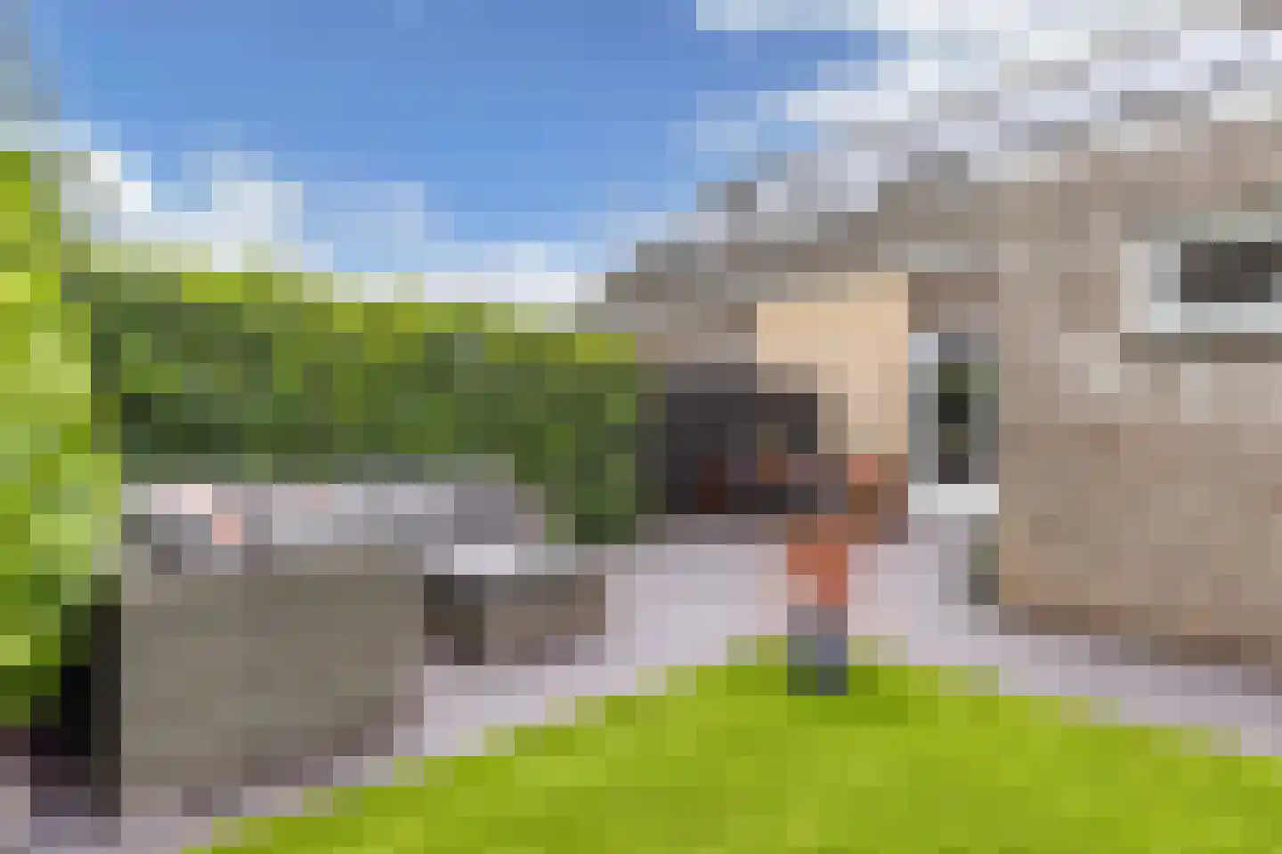 De Lits 9 Drachten thumbnail 45