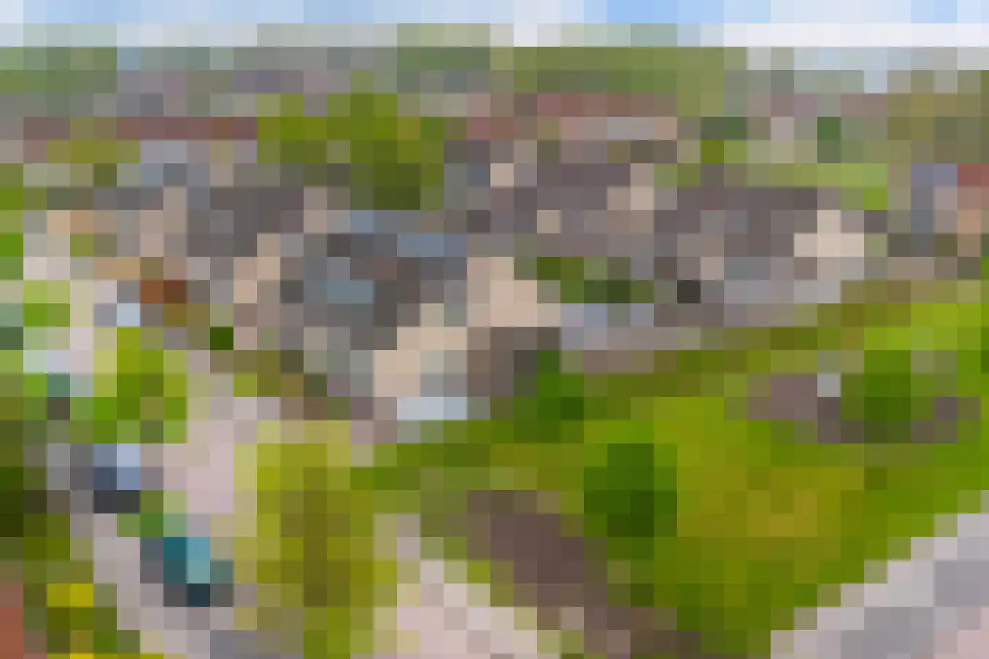 De Lits 9 Drachten thumbnail 5