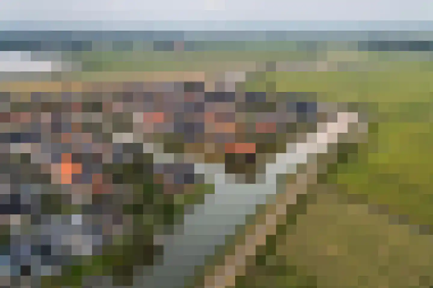 De Ljepper 14 Leeuwarden thumbnail 101