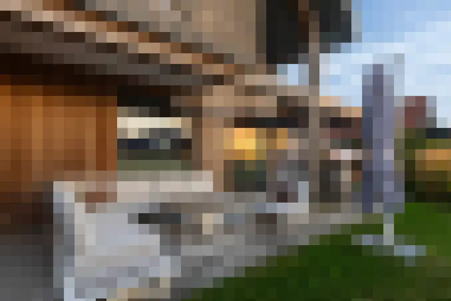 De Ljepper 14 Leeuwarden thumbnail 74