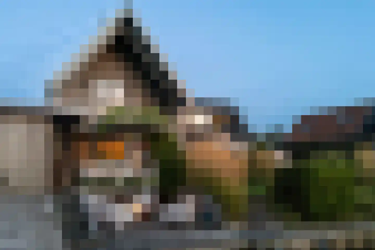 De Ljepper 14 Leeuwarden thumbnail 90