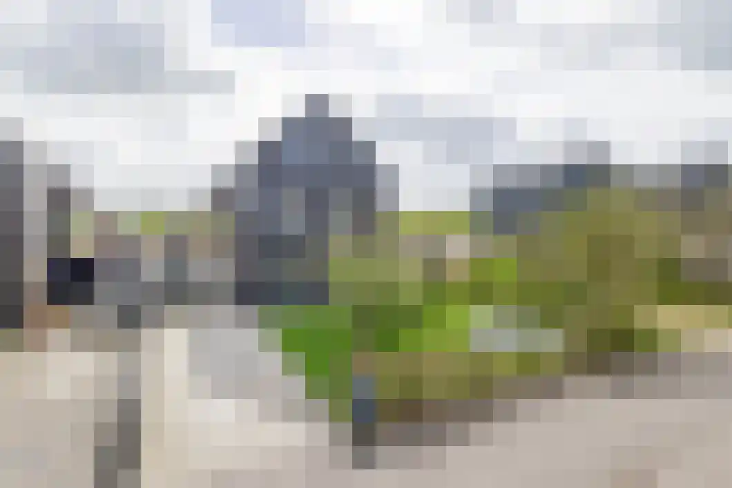De Ljepper 34 Leeuwarden thumbnail 6