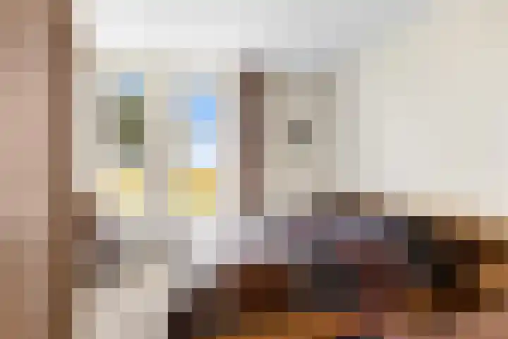 De Ljip 11 Bolsward thumbnail 17