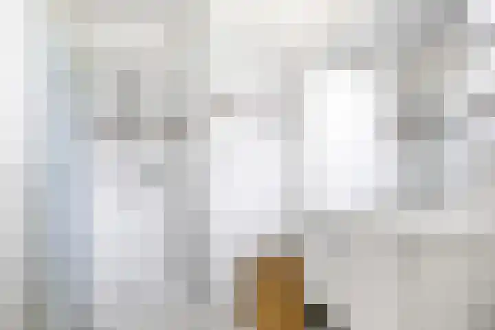 De Ljip 11 Bolsward thumbnail 20