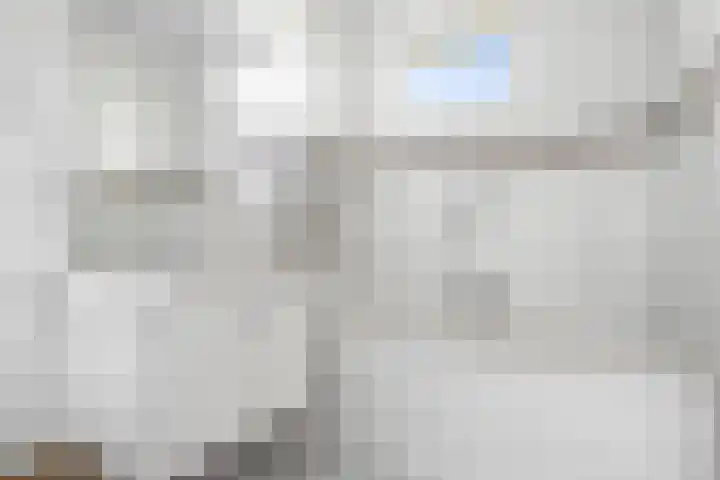 De Ljip 11 Bolsward thumbnail 21