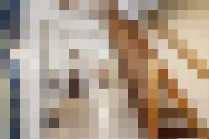 De Ljip 11 Bolsward thumbnail 22