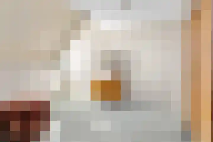 De Ljip 11 Bolsward thumbnail 26