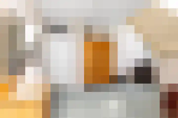 De Ljip 11 Bolsward thumbnail 27