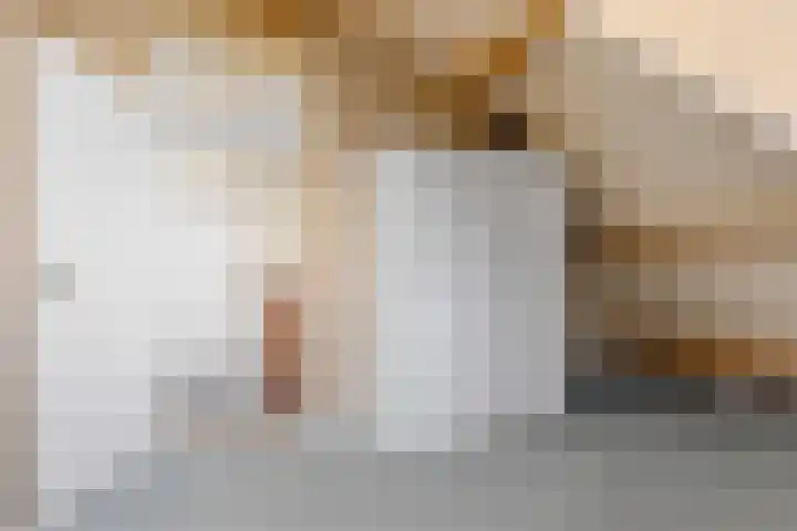 De Ljip 11 Bolsward thumbnail 29
