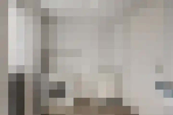De Ljip 11 Bolsward thumbnail 33