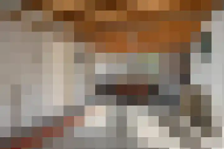 De Ljip 11 Bolsward thumbnail 34