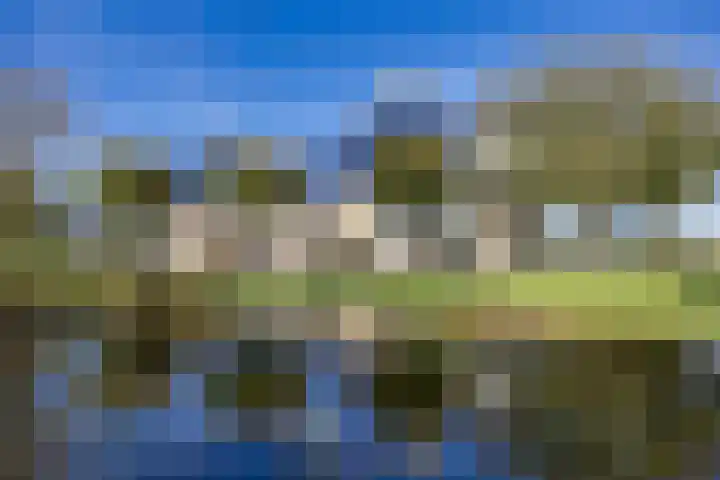 De Ljip 11 Bolsward thumbnail 35